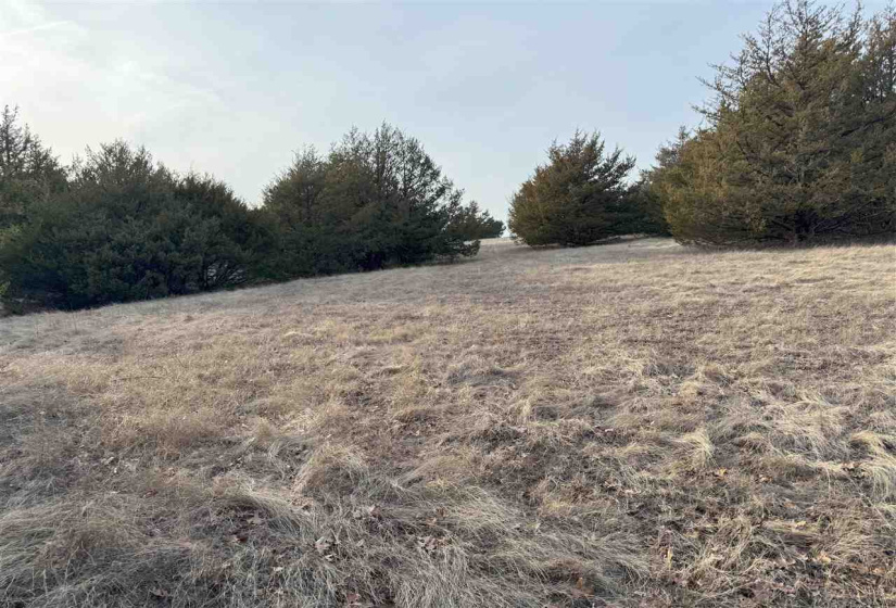Lots/land,Unplatted,9th,131357
