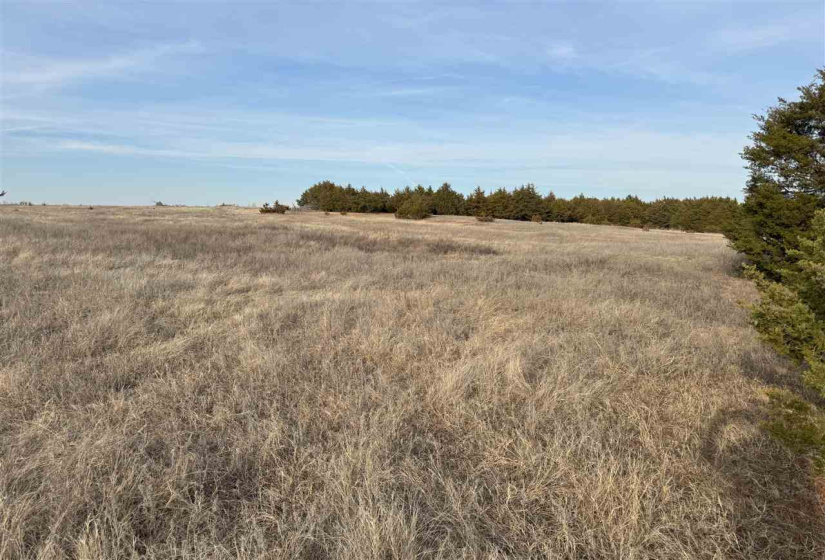 Lots/land,Unplatted,9th,131357