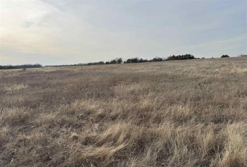 Lots/land,Unplatted,9th,131357