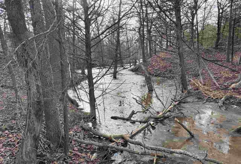 Lots/land,Unplatted,9th,131357