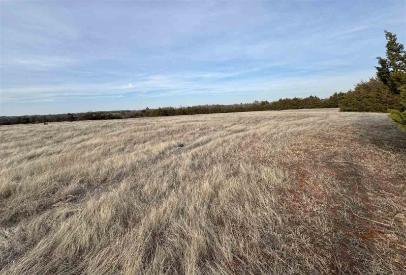 Lots/land,Unplatted,9th,131357