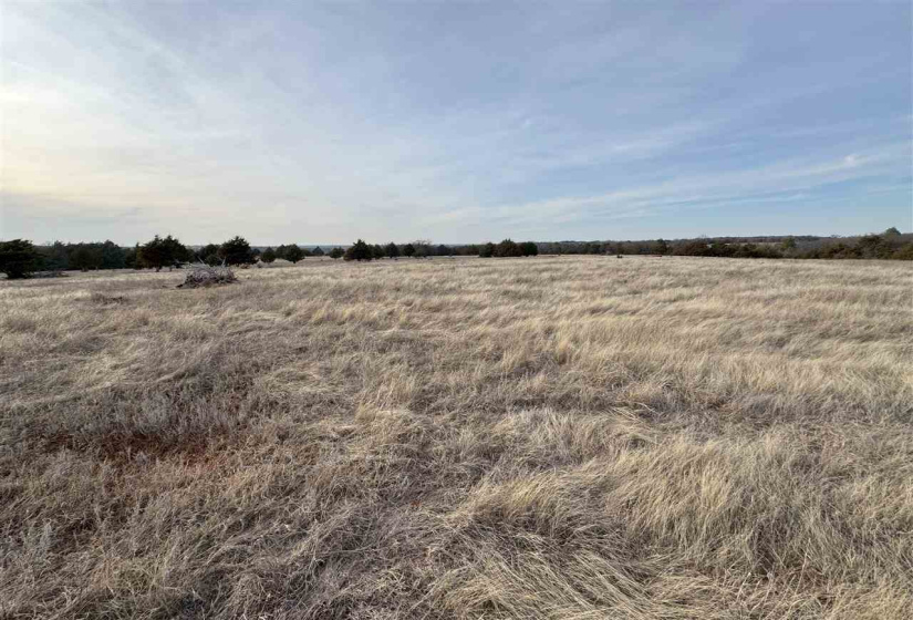 Lots/land,Unplatted,9th,131357