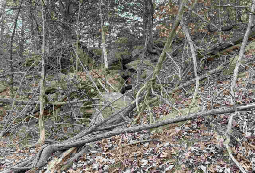 Lots/land,Unplatted,9th,131357