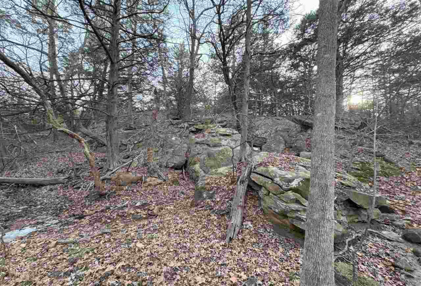 Lots/land,Unplatted,9th,131357