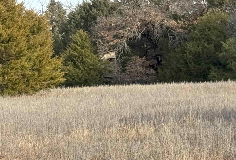 Lots/land,Unplatted,9th,131357
