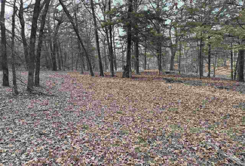 Lots/land,Unplatted,9th,131357