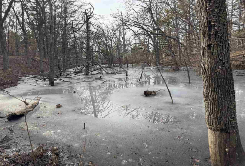 Lots/land,Unplatted,9th,131357