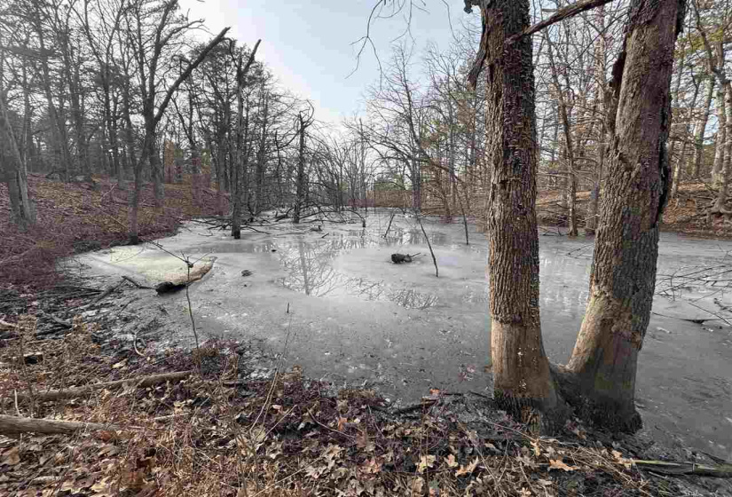 Lots/land,Unplatted,9th,131357