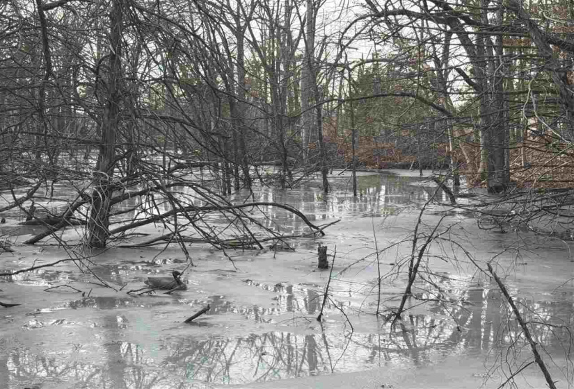 Lots/land,Unplatted,9th,131357