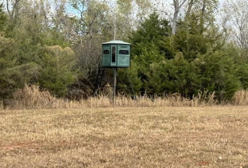2 Bedrooms Bedrooms, ,1 BathroomBathrooms,Residential,Single Family,68th,1,131356