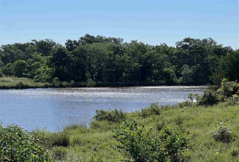 Lots/land,Unplatted,Tract,131364