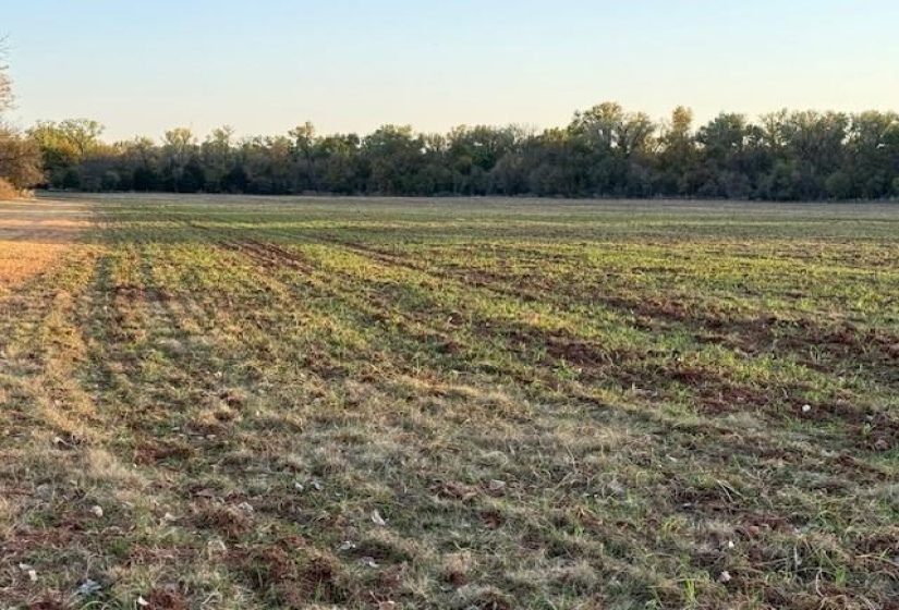0 , 0 ,0,Lots/land,Ranch/farm,68th,0,131368