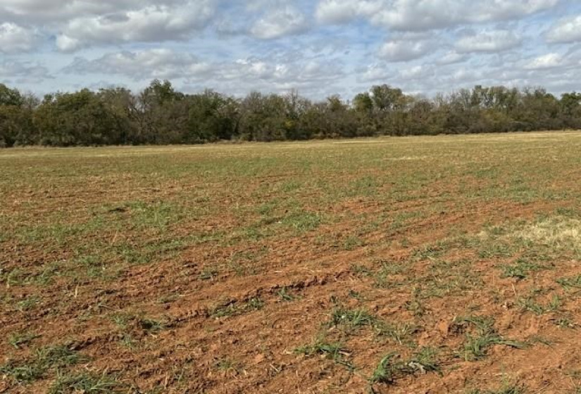 0 , 0 ,0,Lots/land,Ranch/farm,68th,0,131368