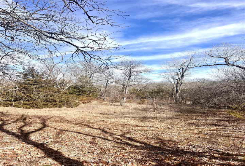 2 Bedrooms Bedrooms, ,1 BathroomBathrooms,Residential,Single Family,36280,1,131385