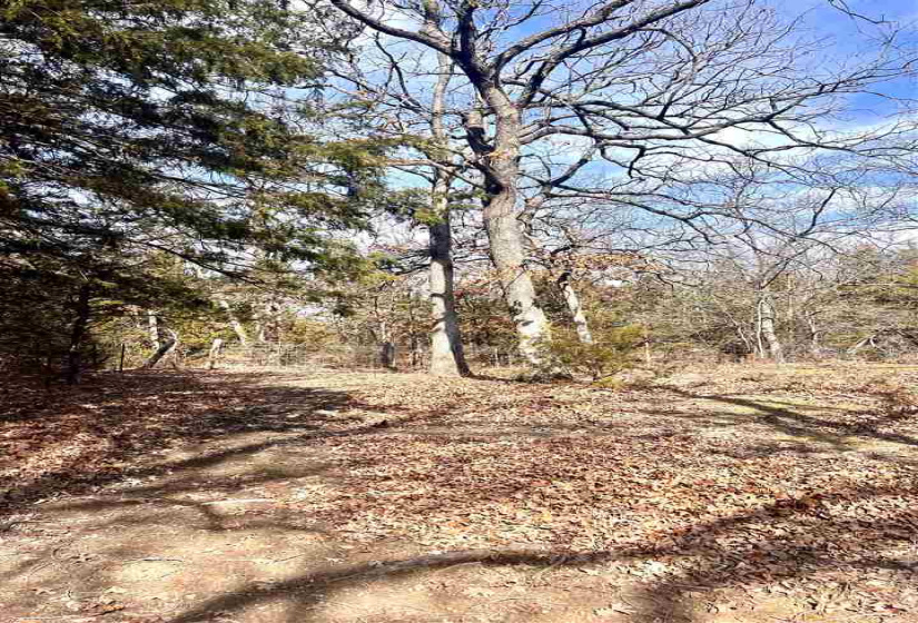 2 Bedrooms Bedrooms, ,1 BathroomBathrooms,Residential,Single Family,36280,1,131385
