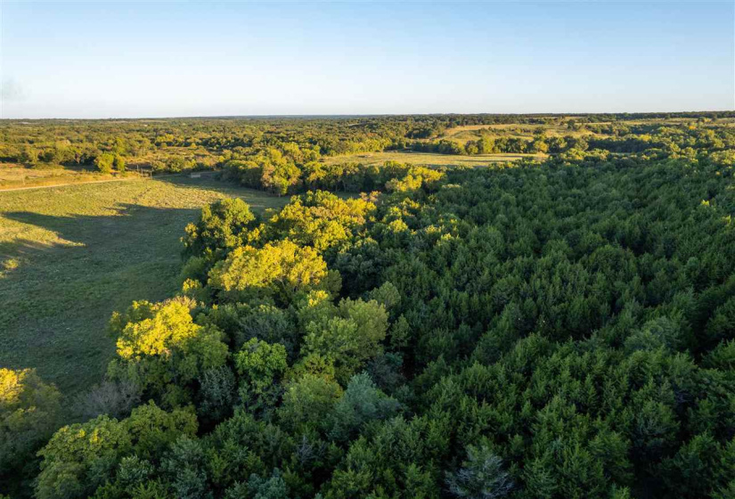 Lots/land,Ranch/farm,Glencoe, Oklahoma, 74032,131435