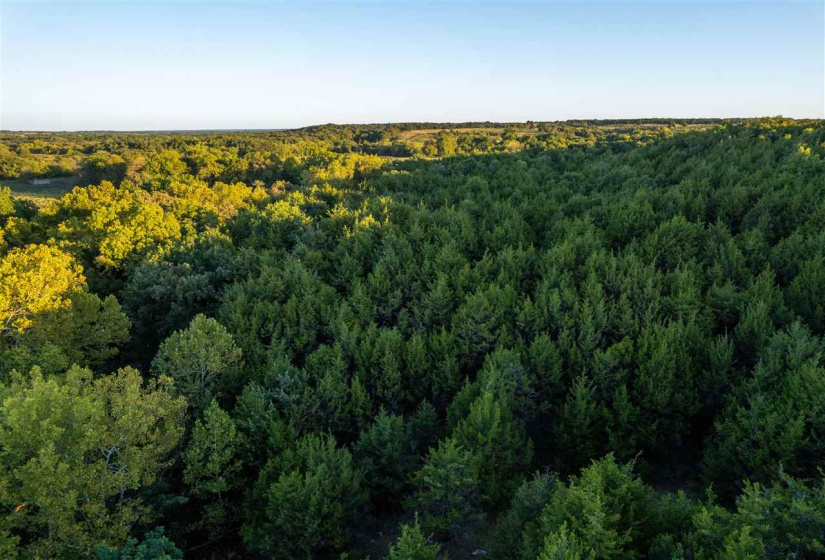 Lots/land,Ranch/farm,Glencoe, Oklahoma, 74032,131435