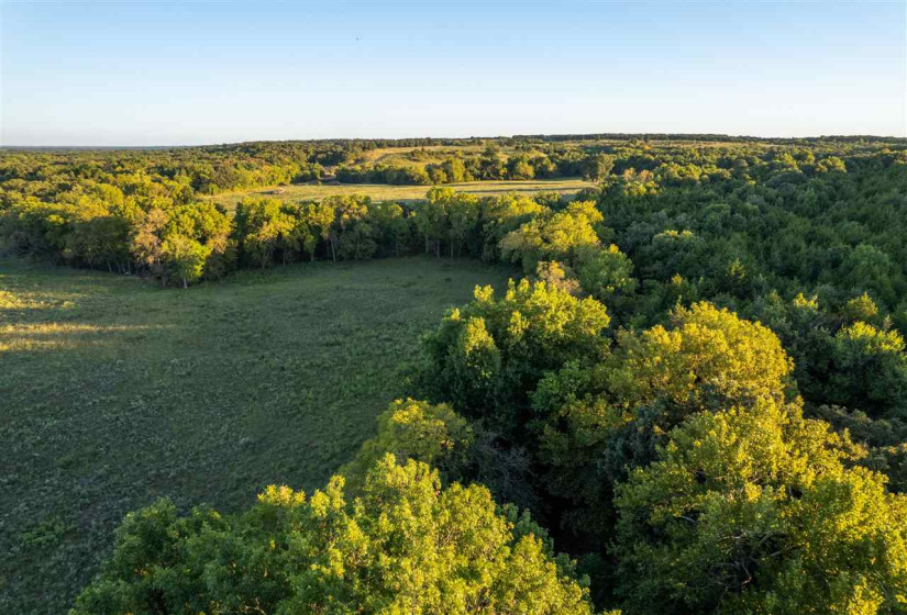 Lots/land,Ranch/farm,Glencoe, Oklahoma, 74032,131435