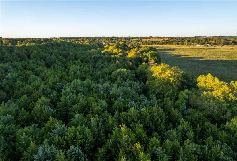 Lots/land,Ranch/farm,Glencoe, Oklahoma, 74032,131435