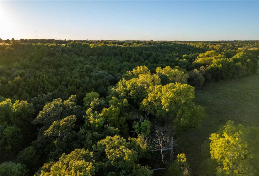 Lots/land,Ranch/farm,Glencoe, Oklahoma, 74032,131435