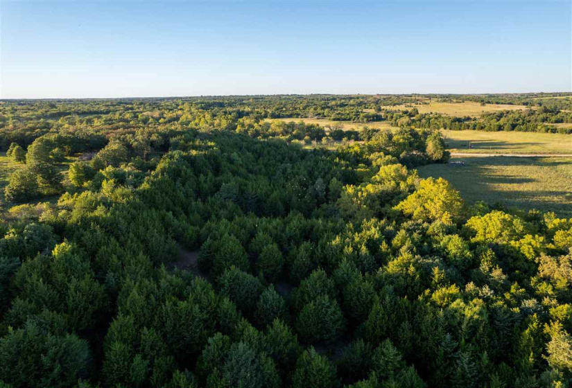 Lots/land,Ranch/farm,Glencoe, Oklahoma, 74032,131435