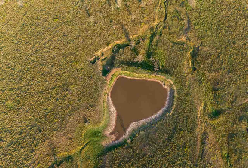 Lots/land,Ranch/farm,Highway 60,131437