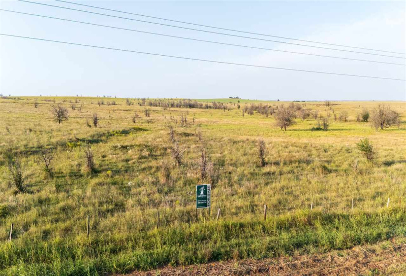 Lots/land,Ranch/farm,Highway 60,131437