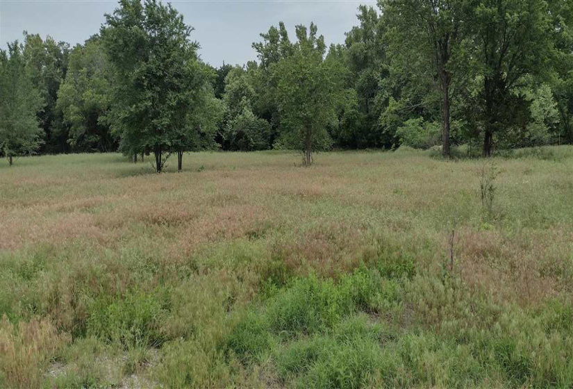 Lots/land,Platted,Miller Estates,131463