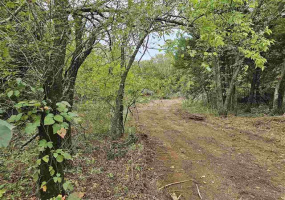 0 , 0 ,0,Lots/land,Platted,Brush Creek Road,0,131478