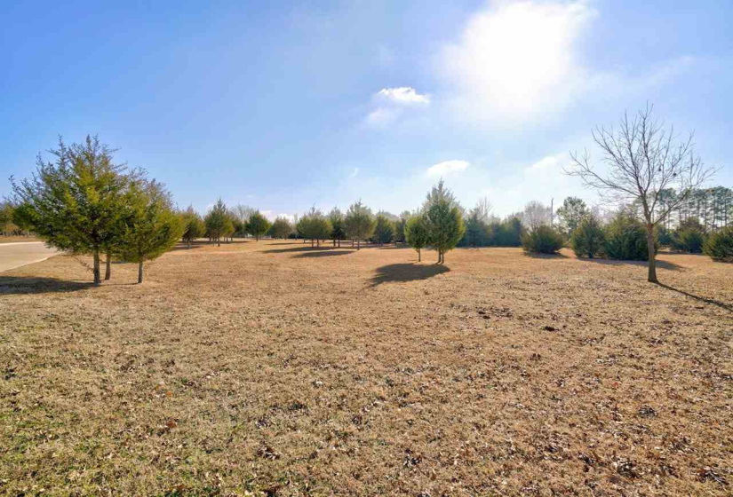 Lots/land,Platted,Laguna,131547