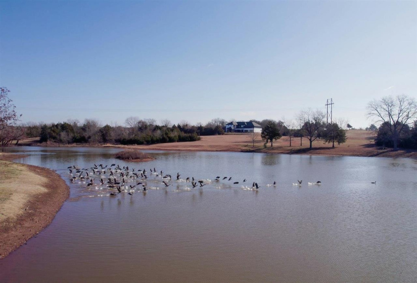 Lots/land,Platted,Laguna,131547