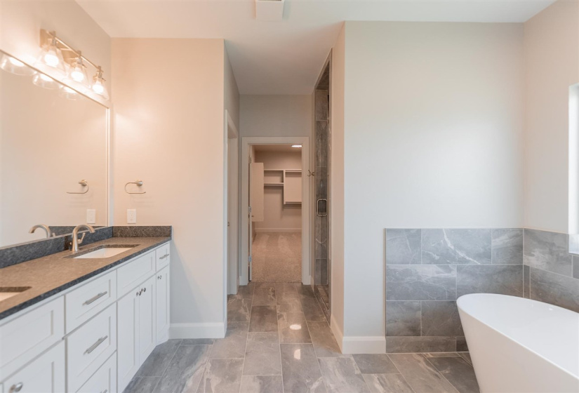 5 Bedrooms Bedrooms, ,3 BathroomsBathrooms,Residential,Single Family,Brookwater,1,131579