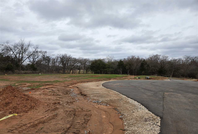 Lots/land,Platted,Bruce,131617