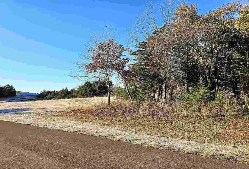 Lots/land,Platted,Autumn,131632