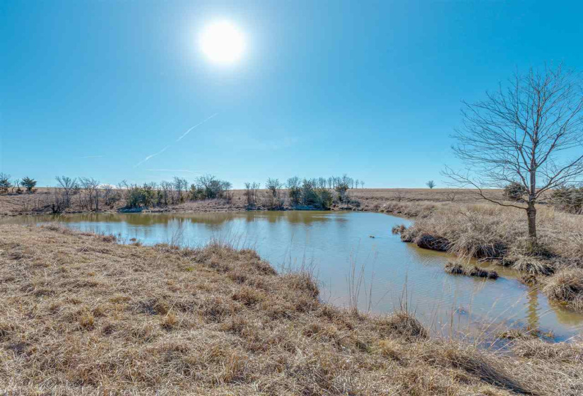Lots/land,Unplatted,780,131682