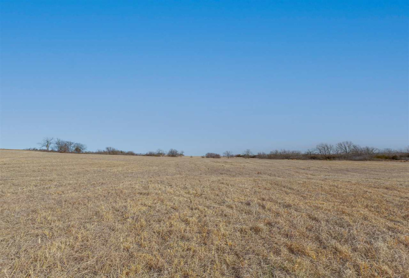 Lots/land,Unplatted,780,131682
