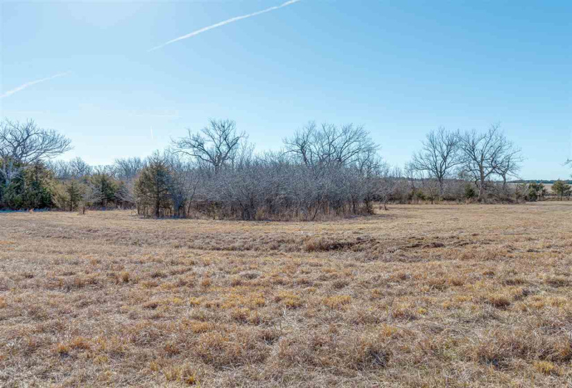 Lots/land,Unplatted,780,131682