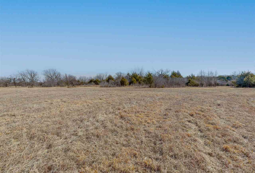 Lots/land,Unplatted,780,131682