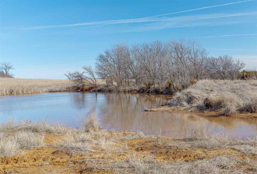 Lots/land,Unplatted,780,131682