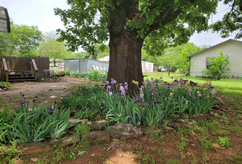 3 Bedrooms Bedrooms, ,2 BathroomsBathrooms,Residential,Single Family,Holly,1,131683