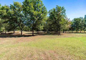 Lots/land,Unplatted,Ransom,131686