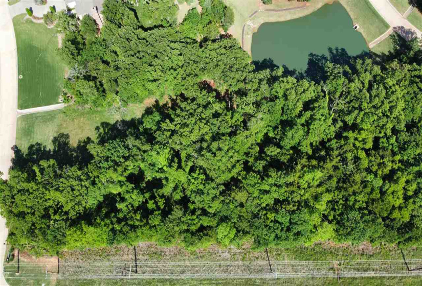Lots/land,Platted,Boulder Creek,131716