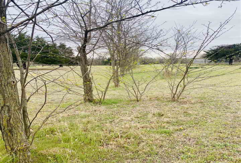 3 Bedrooms Bedrooms, ,2 BathroomsBathrooms,Residential,Single Family,DALTON,1,131723
