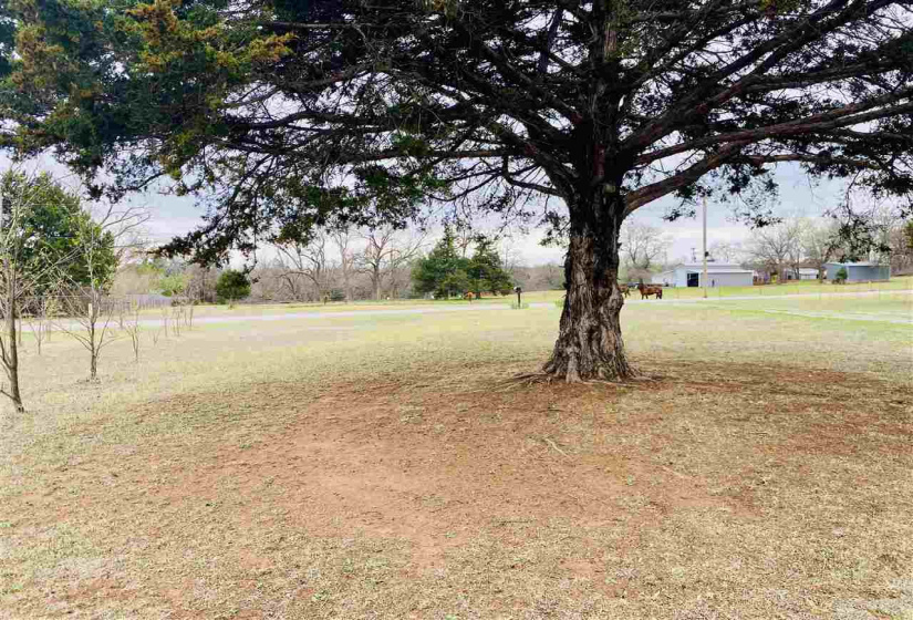 3 Bedrooms Bedrooms, ,2 BathroomsBathrooms,Residential,Single Family,DALTON,1,131723
