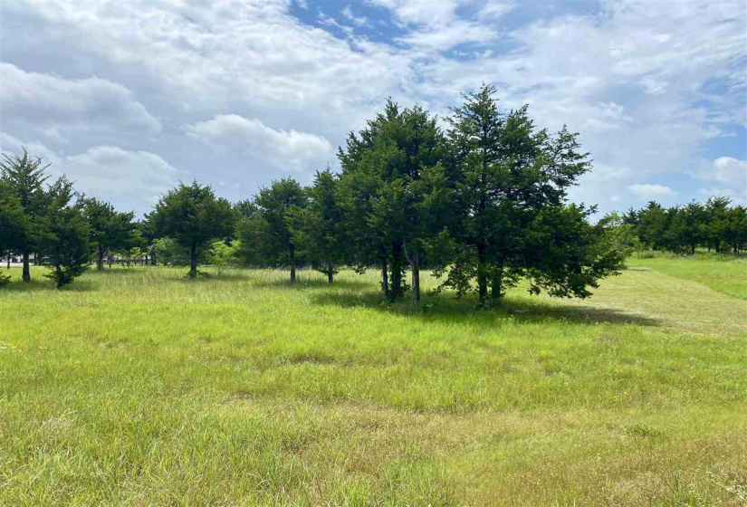 3 Bedrooms Bedrooms, ,2 BathroomsBathrooms,Residential,Single Family,DALTON,1,131723