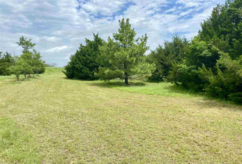 3 Bedrooms Bedrooms, ,2 BathroomsBathrooms,Residential,Single Family,DALTON,1,131723