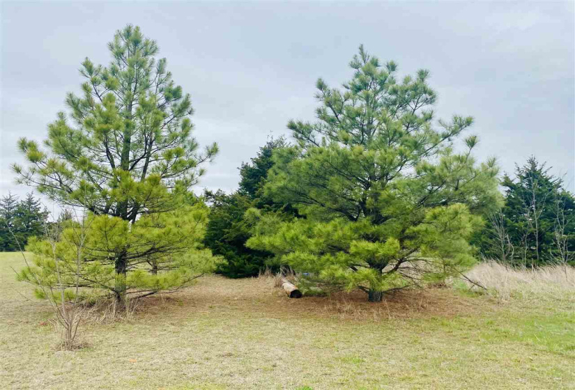 3 Bedrooms Bedrooms, ,2 BathroomsBathrooms,Residential,Single Family,DALTON,1,131723