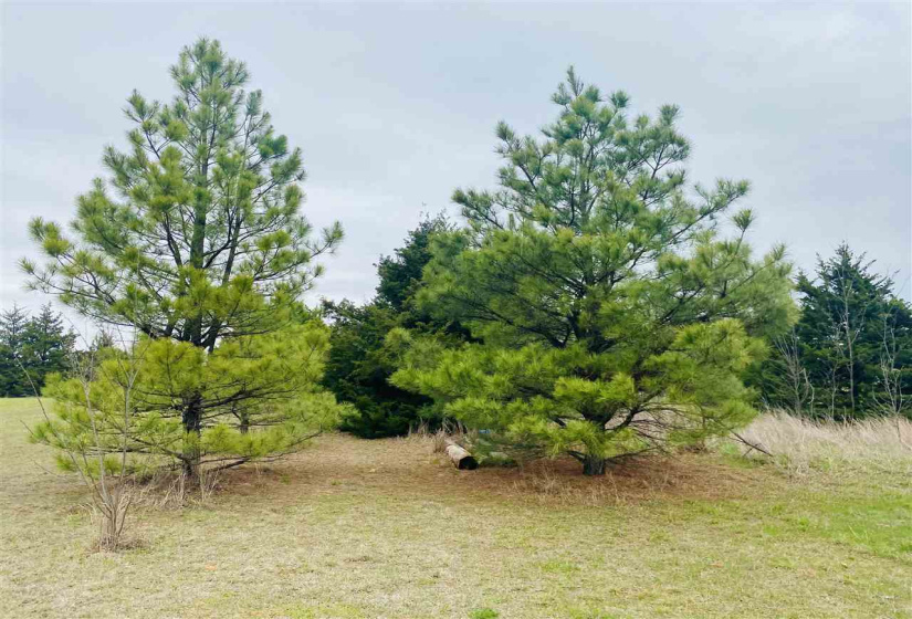 3 Bedrooms Bedrooms, ,2 BathroomsBathrooms,Residential,Single Family,DALTON,1,131723