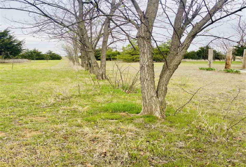 3 Bedrooms Bedrooms, ,2 BathroomsBathrooms,Residential,Single Family,DALTON,1,131723