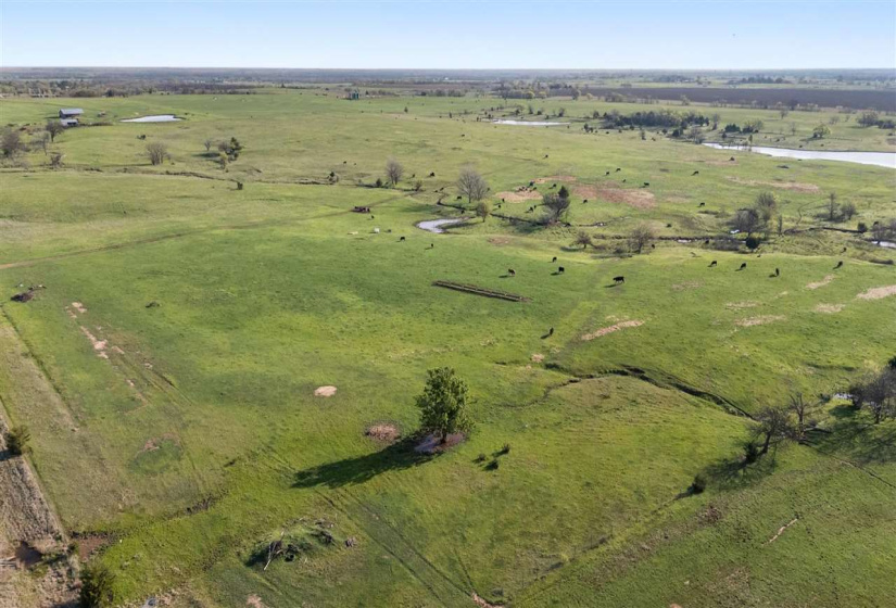 Lots/land,Unplatted,HWY 177,131773